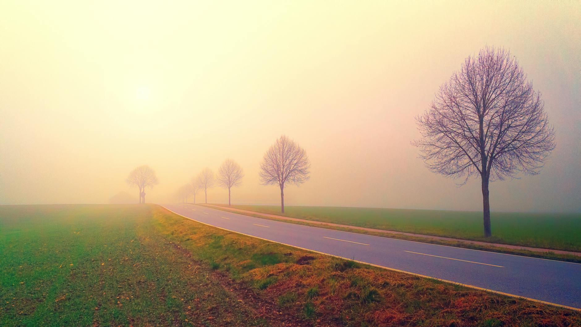 photo of road in the middle of foggy field